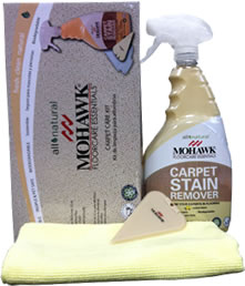 Mohawk Carpet Spot cleaner